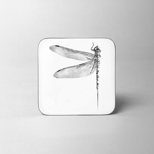 Dragonfly Coaster