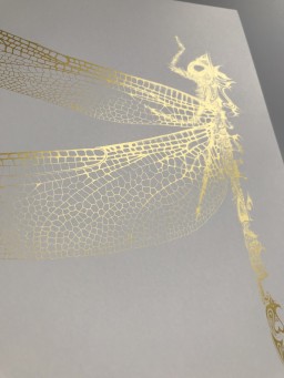Dragonfly Gold Si Scott.jpg